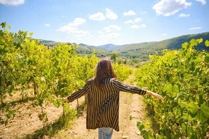 half-day-experience-to-san-gimignano-hills-with-picnic-and-wine