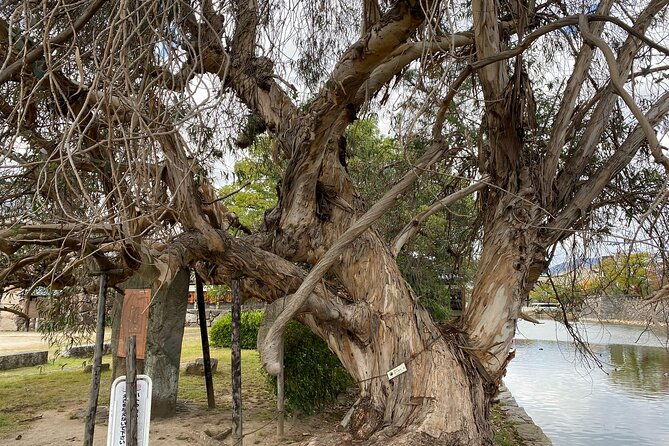 half-day-hiroshima-highlight-tour-with-story-telling