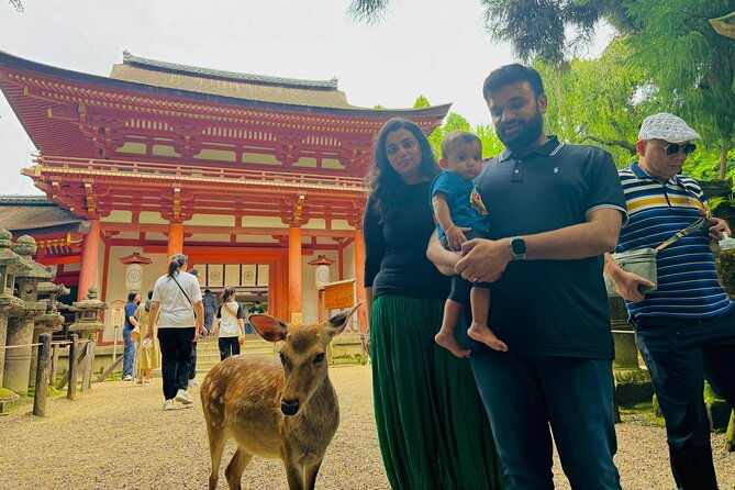 half-day-nara-and-matcha-farm-private-van-tour