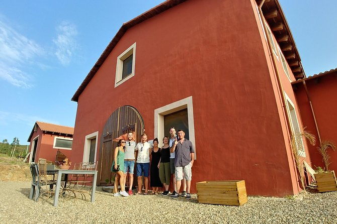 half-day-small-group-wine-experience-with-wine-expert-from-cagliari