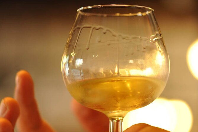 half-day-tour-of-the-cote-de-nuits-vineyards-from-dijon