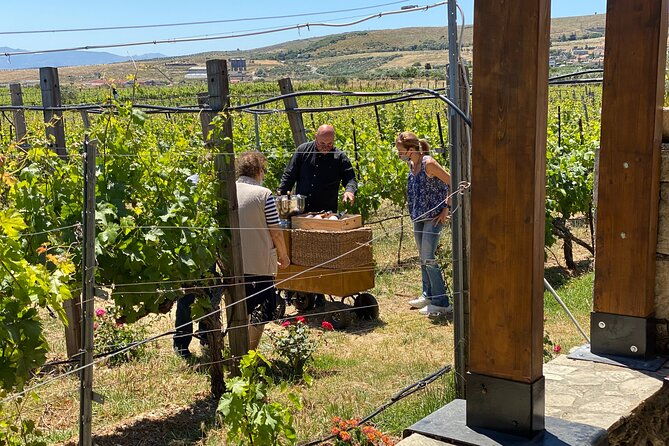 heraklion-private-half-day-wine-tasting-tour-in-lyrarakis-winery