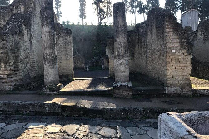 herculaneum-private-tour-skip-the-line-admission-included