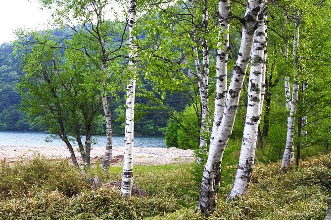 hiking-around-yuno-lake-revel-in-the-essence-of-nikkos-nature-and-history