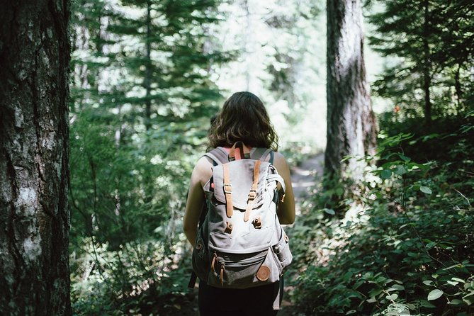 hiking-in-parnitha-national-park-from-athens