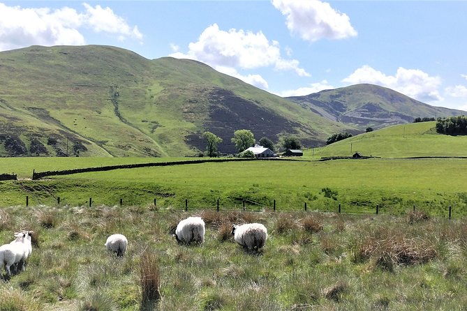 hill-nature-hike-discover-real-edinburgh-with-a-local-expert