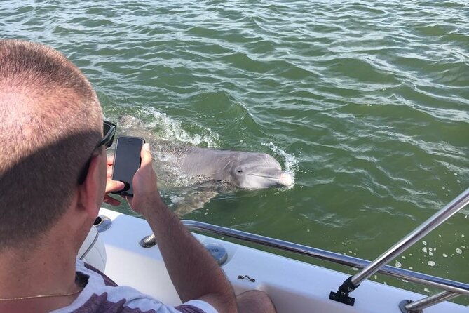 hilton-head-island-dolphin-boat-cruise