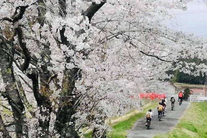 hiroshima-country-cycling-explore-rural-life-1-hr-from-the-city
