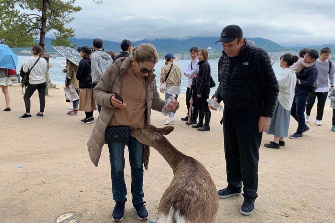 hiroshima-miyajima-full-day-private-tour-with-government-licensed-guide