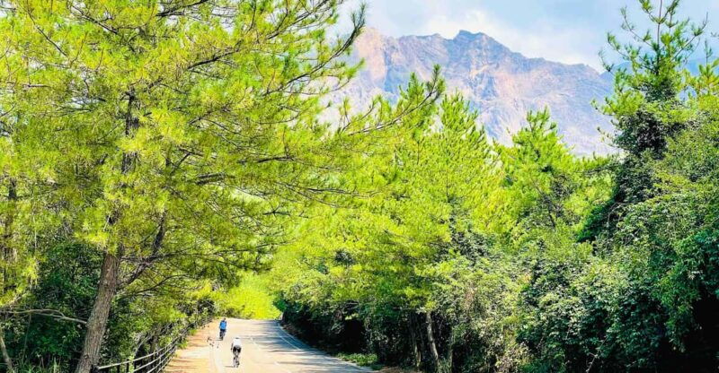 historical-hill-climb-e-bike-tour-to-sakurajimas-peak