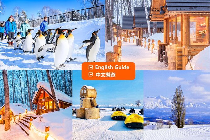 hokkaido-asahiyama-zoo-furano-and-ningle-terrace-full-day-tour