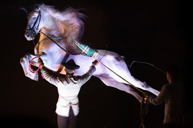 horse-and-flamenco-show-in-malaga