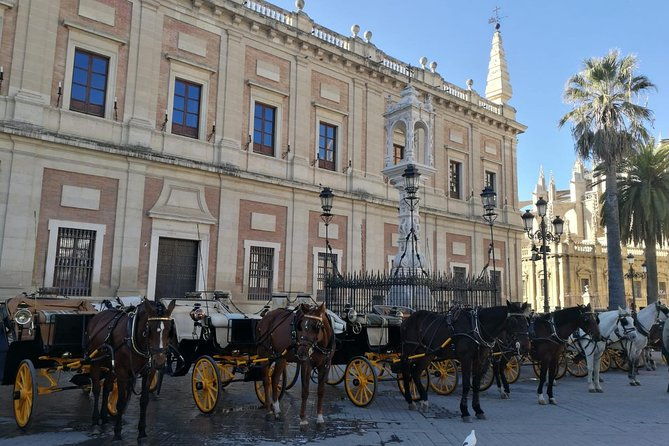 horse-drawn-carriage-ride-through-seville