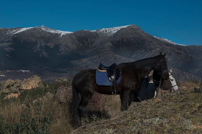 horse-riding-madrid-natural-park