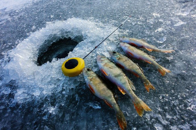 ice-fishing-and-husky