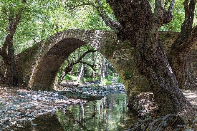 individual-tours-from-paphos