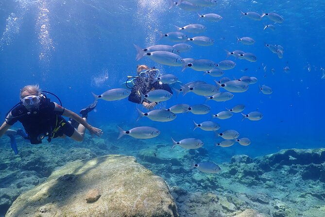 introductory-diving-in-small-groups