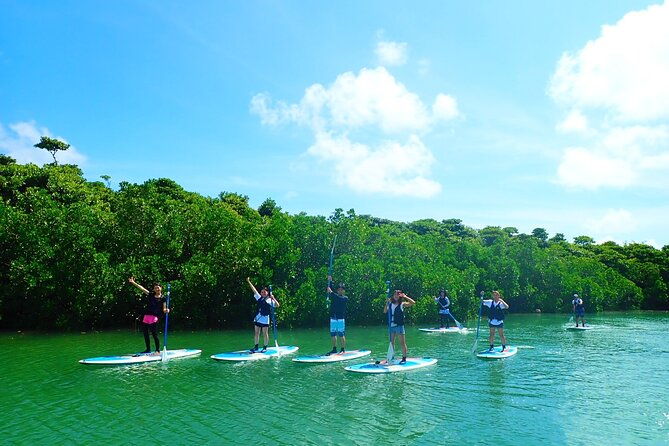 ishigakimangrove-sup-canoe-tour