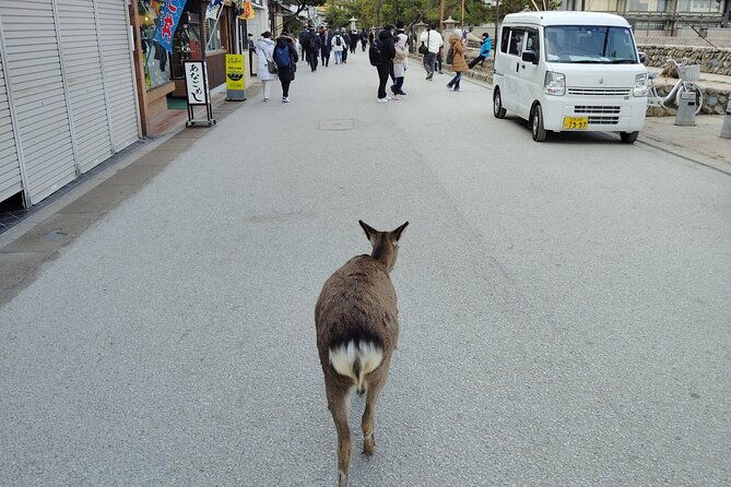 itsukushima-shrine-and-miyajima-summit-5hour-tour-in-miyajima