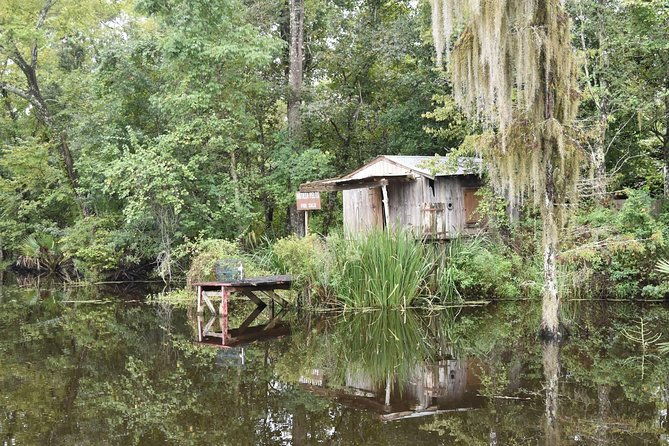 jean-lafitte-90-minute-swamp-and-bayou-boat-tour