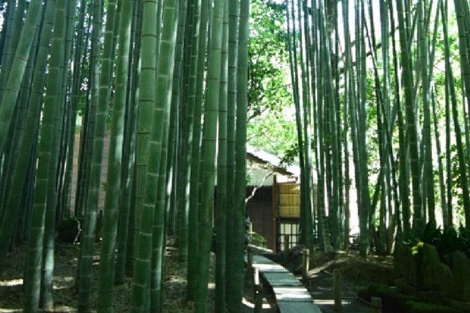 kamakura-bamboo-forest-and-great-buddha-private-tour