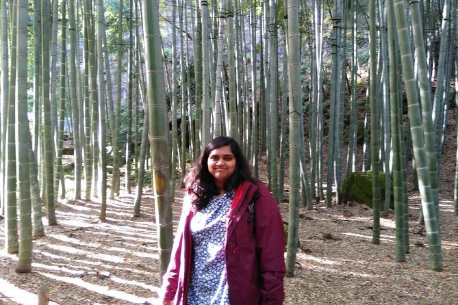 kamakura-full-day-tour-with-licensed-guide-and-vehicle