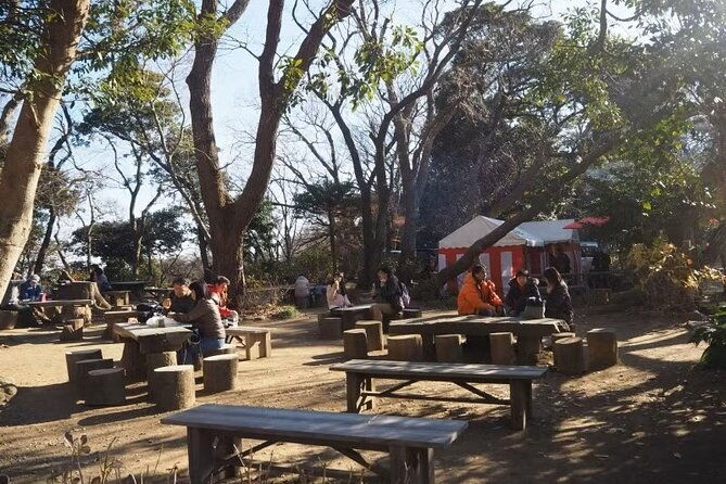 kamakura-private-cultural-and-historical-hiking-tour
