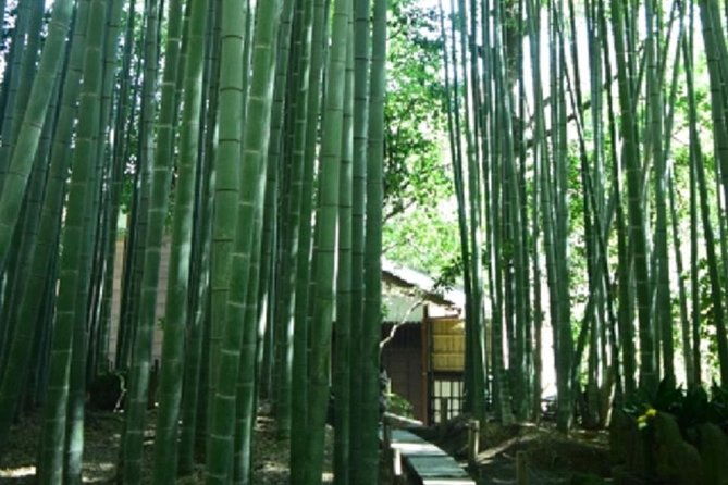 kamakura-private-tour-by-public-transportation