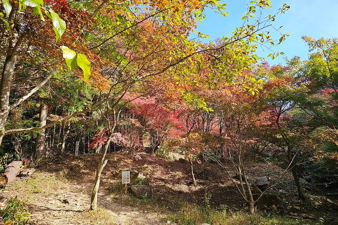 kamosu-tabi-the-sake-capital-saijo-wellness-tour