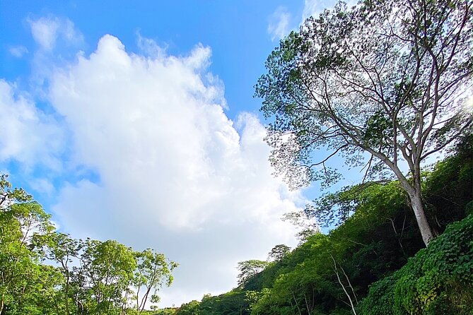 kauai-adventure-kayak-hike-to-secret-falls-with-expert-guide