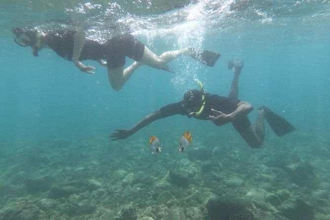 kauais-ultimate-guided-shore-snorkel-no-boat-south-poipu