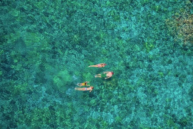 kealakekua-bay-afternoon-snorkel-family-fun-on-the-kona-coast