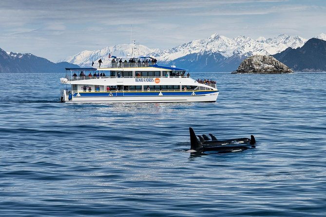 kenai-fjords-national-park-glacier-wildlife-cruise
