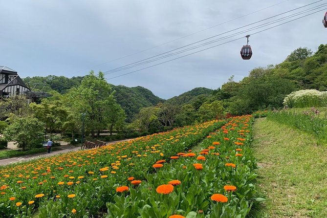 kobe-private-tour-from-osaka-shore-excursion-available-from-osaka-or-kobe-port