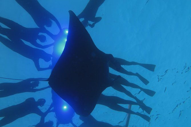 konas-magical-manta-ray-night-snorkel-small-group-eco-tour
