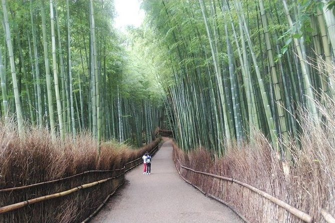 kyoto-early-bird-feat-matcha-town-walking-tour