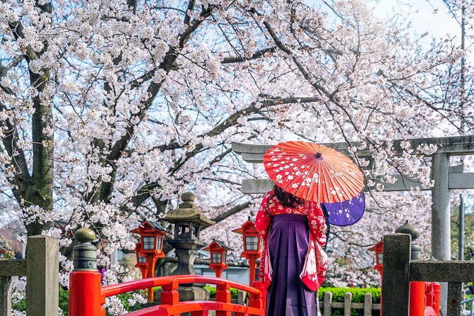 kyoto-full-day-8-hours-ultimate-sightseeing-private-tour