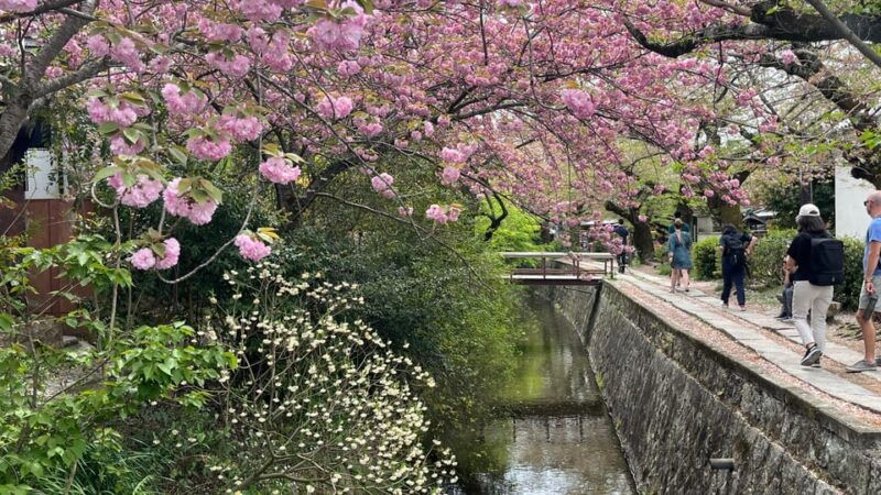 kyoto-half-day-private-guided-tour-of-the-silver-pavilion