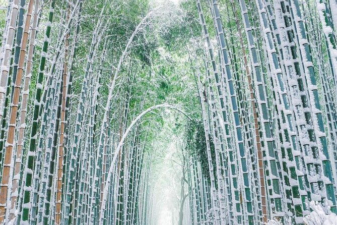 kyoto-osaka-nara-private-tour-by-car-english-driver-guide