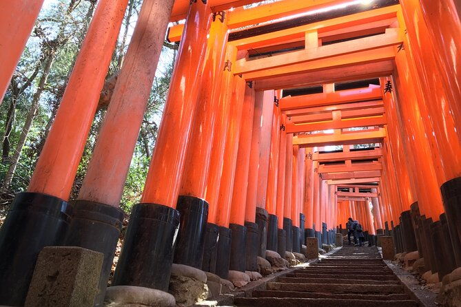 kyoto-private-tour-with-national-licensed-guide-from-osaka