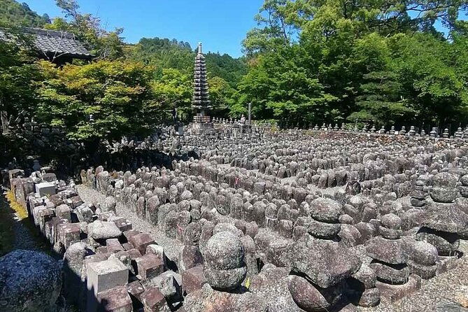 kyoto-sakura-hidden-gems-of-timeless-tradition