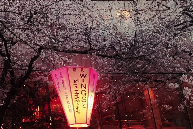 licensed-guide-tokyo-meguro-cherry-blossom-walking-tour-2