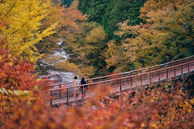 little-adventure-with-cycling-in-tokyo-no-1-crystal-clear-river