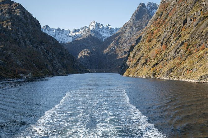lofoten-island-silent-trollfjord-cruise-from-svolvaer