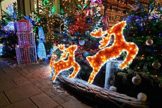 london-christmas-lights-bike-tour-with-local-guide