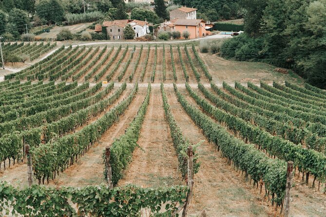 lucca-wine-tasting-experience-tenuta-adamo-winery