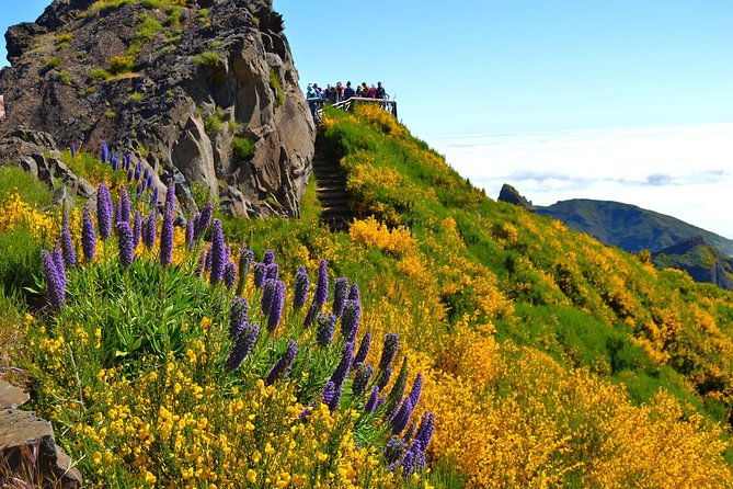 madeira-peaks-mountain-walk