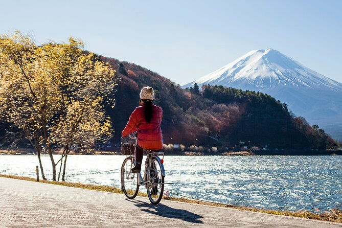 majestic-mount-fuji-exclusive-private-day-tour