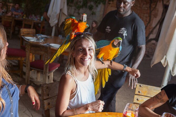 mallorca-evening-tour-horseback-riding-dinner-and-dance
