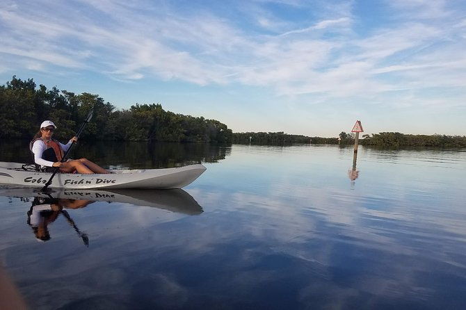 mangrove-tunnels-dolphins-manatee-tour-1-rated-in-cocoa-beach